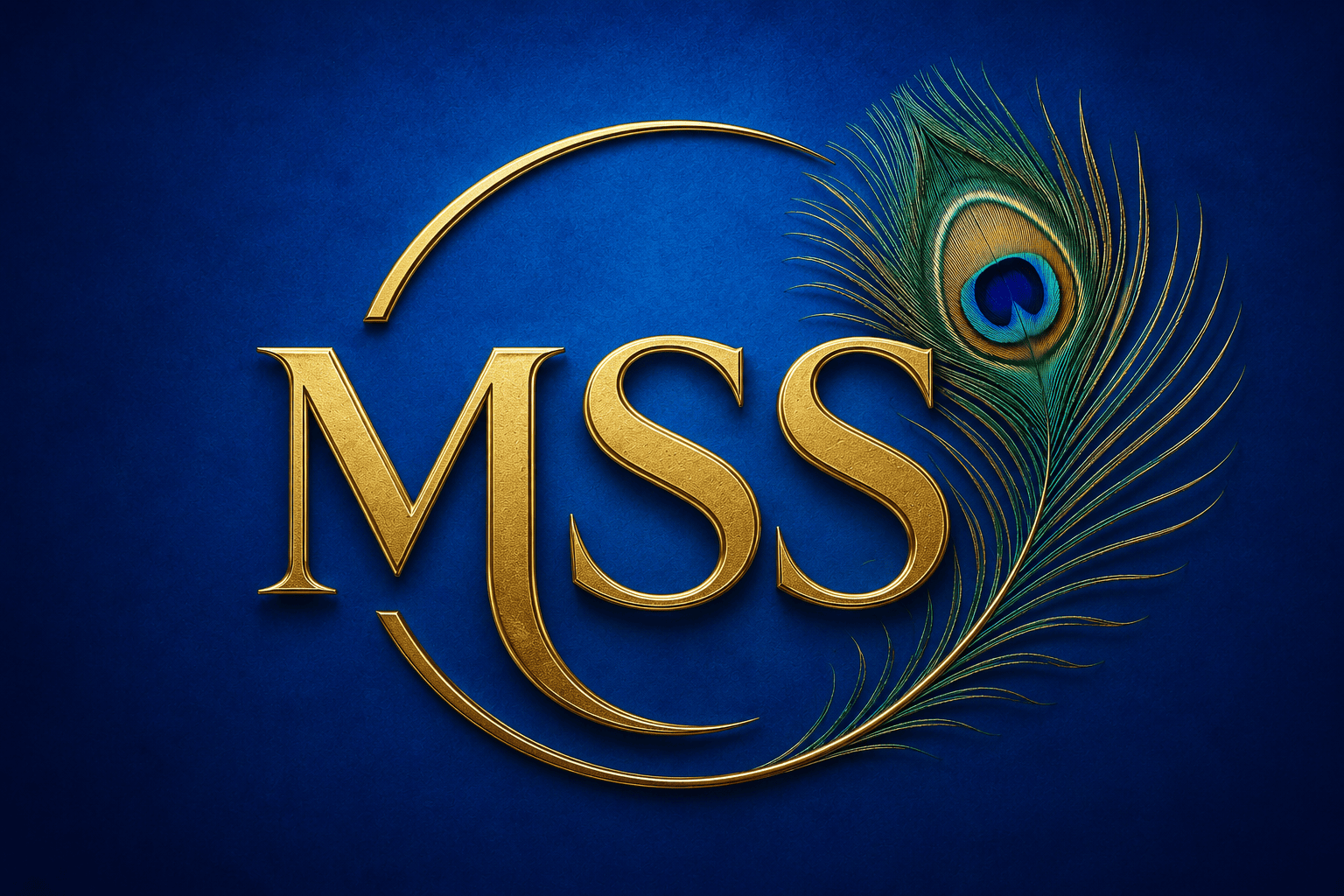 mss.com